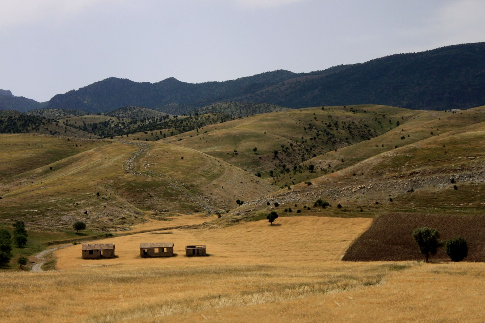 Canon EOS 500D (EOS Rebel T1i / EOS Kiss X3) sample photo. Nature, mountain, steppe photography