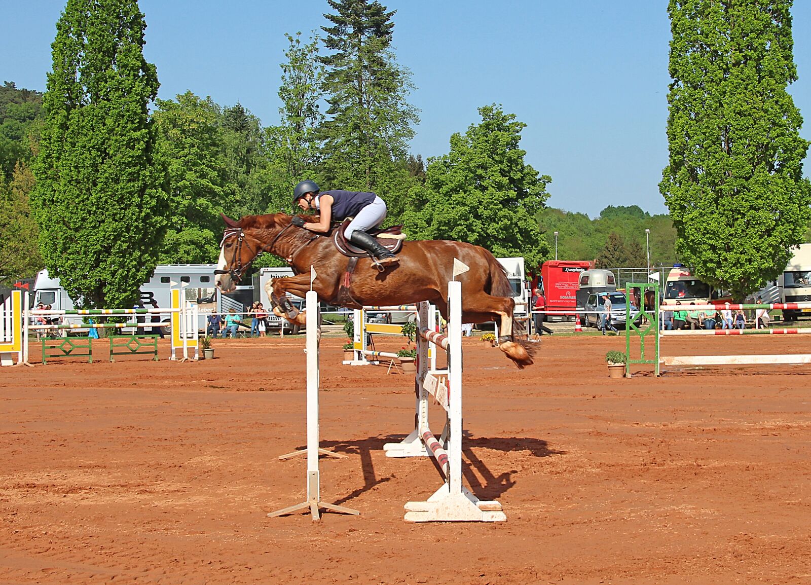Canon EOS 700D (EOS Rebel T5i / EOS Kiss X7i) sample photo. Equestrian, horses, human photography