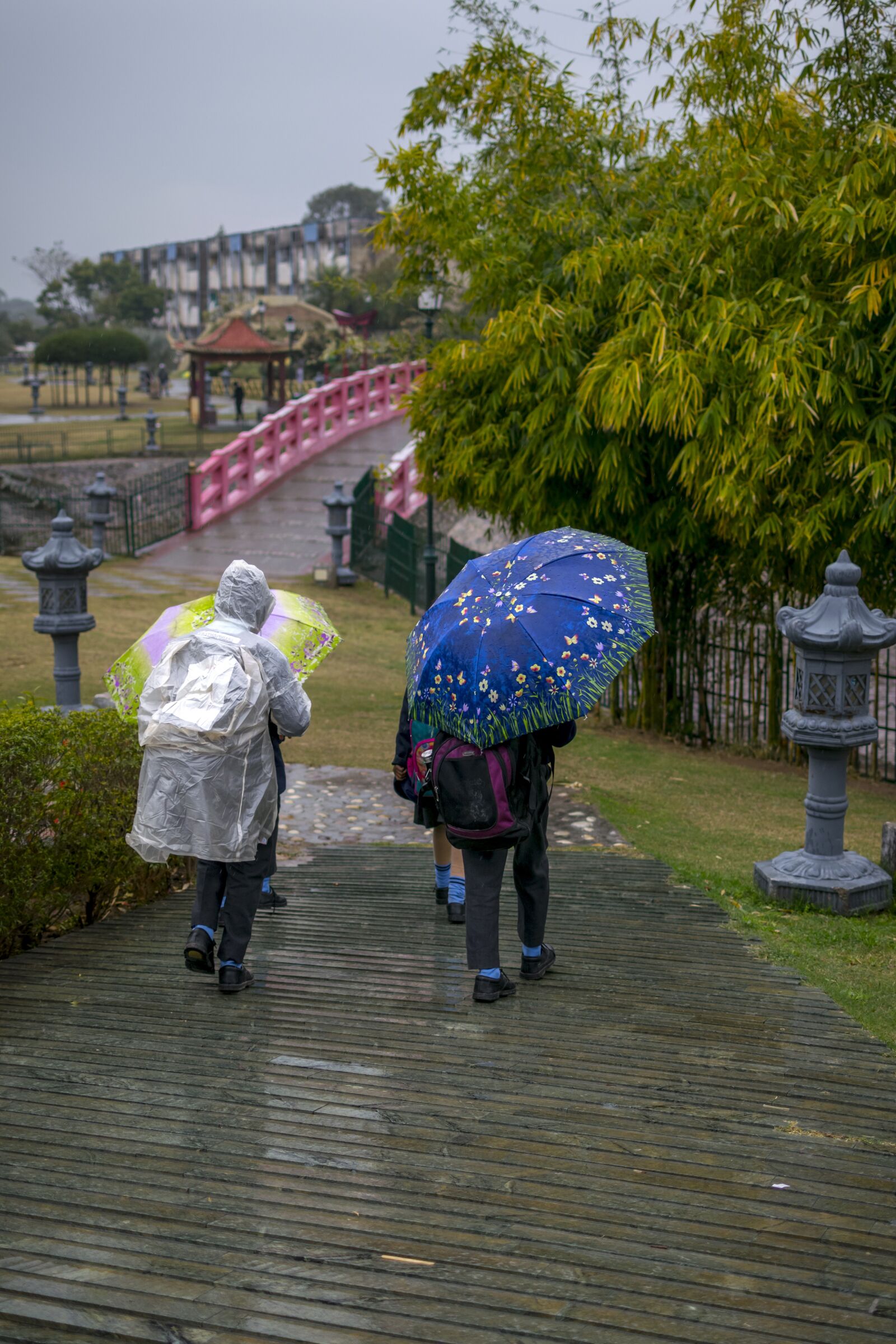 Nikon D3300 sample photo. Children, rain, umbrella photography