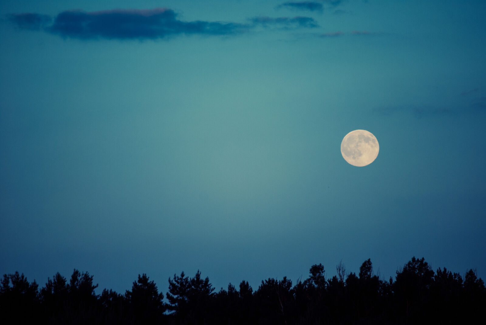 Nikon D60 sample photo. Moon, night photography