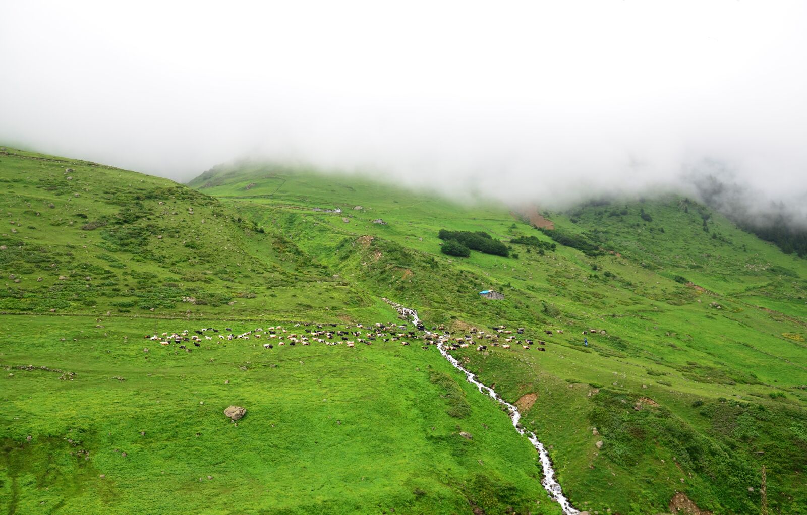 Nikon D5100 sample photo. Eastern black sea, plateaus photography