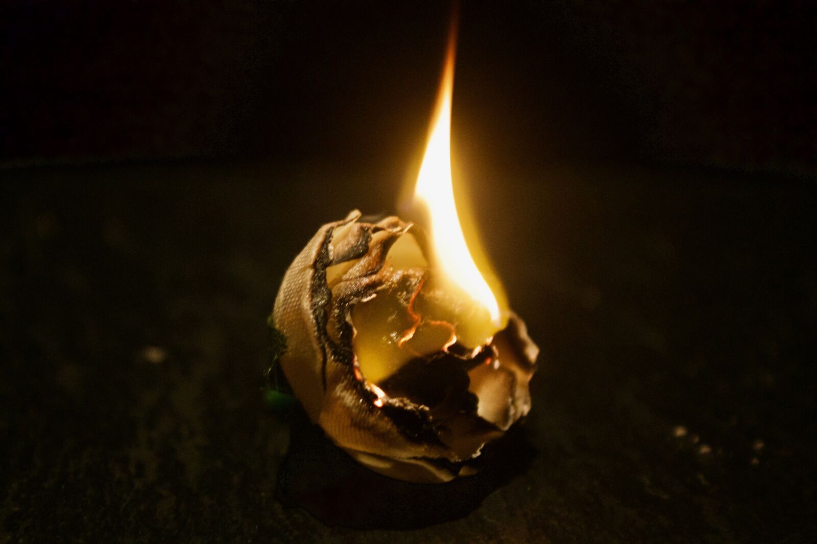 Canon EOS 1100D (EOS Rebel T3 / EOS Kiss X50) sample photo. Fire, flower, flame photography