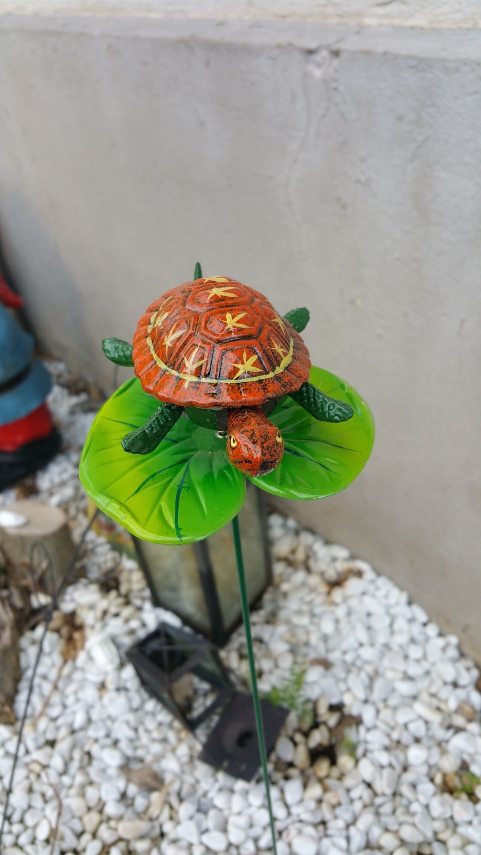 Samsung Galaxy Note4 sample photo. Pebble, sheet, turtle photography