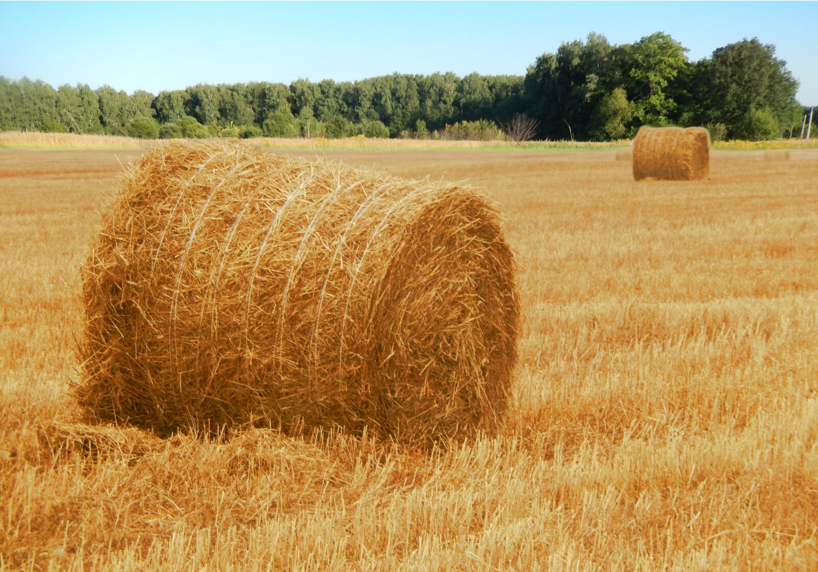 Nikon Coolpix S9500 sample photo. Hay, field, nature photography