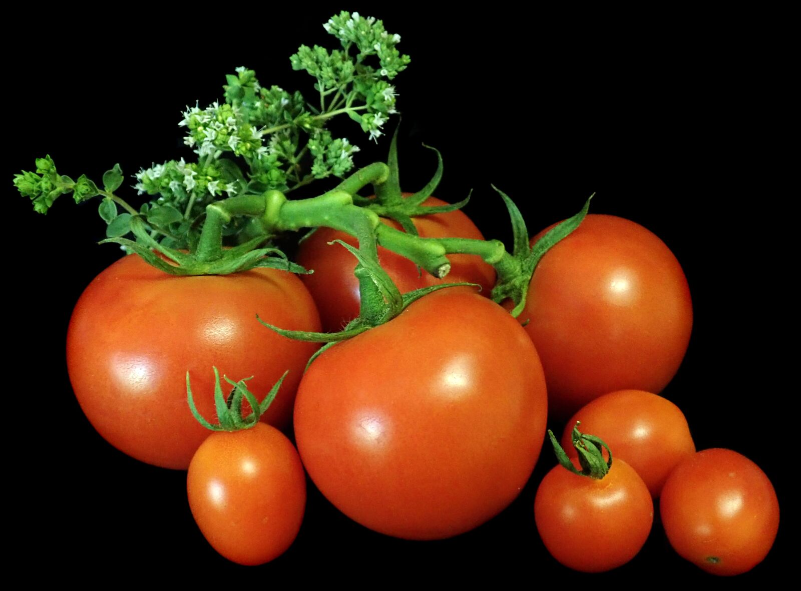 Olympus TG-5 sample photo. Tomatoes, vegetables, food photography
