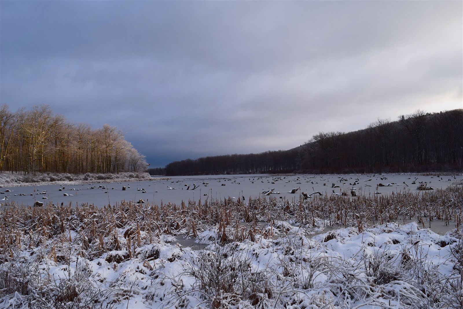 Nikon D3300 sample photo. Snow, trees, lake photography