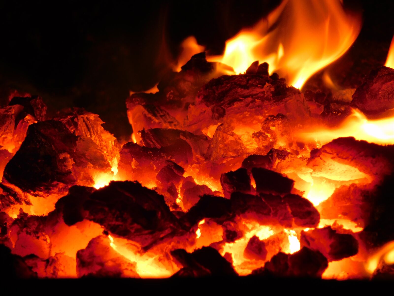 Nikon Coolpix B500 sample photo. Fire, the flame, peace photography