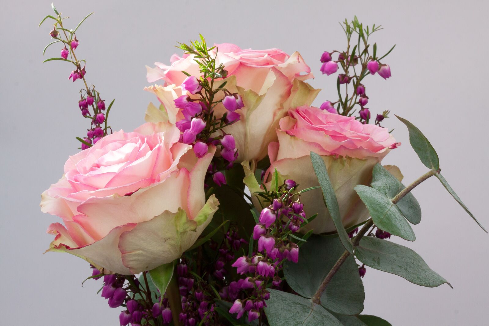 Canon EOS 50D sample photo. Bouquet, rose, erika photography