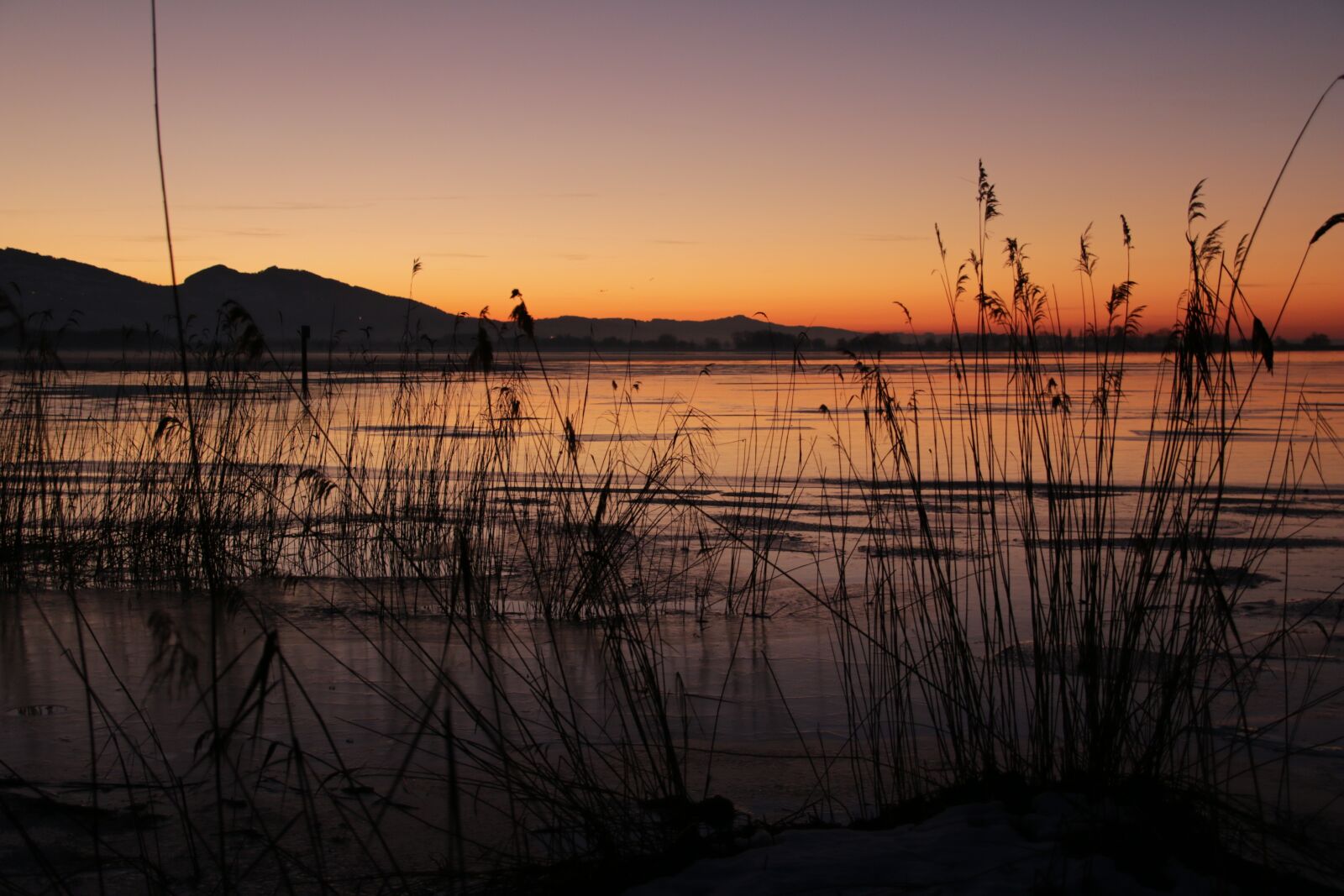 Canon EOS 70D sample photo. Lake, winter, evening photography