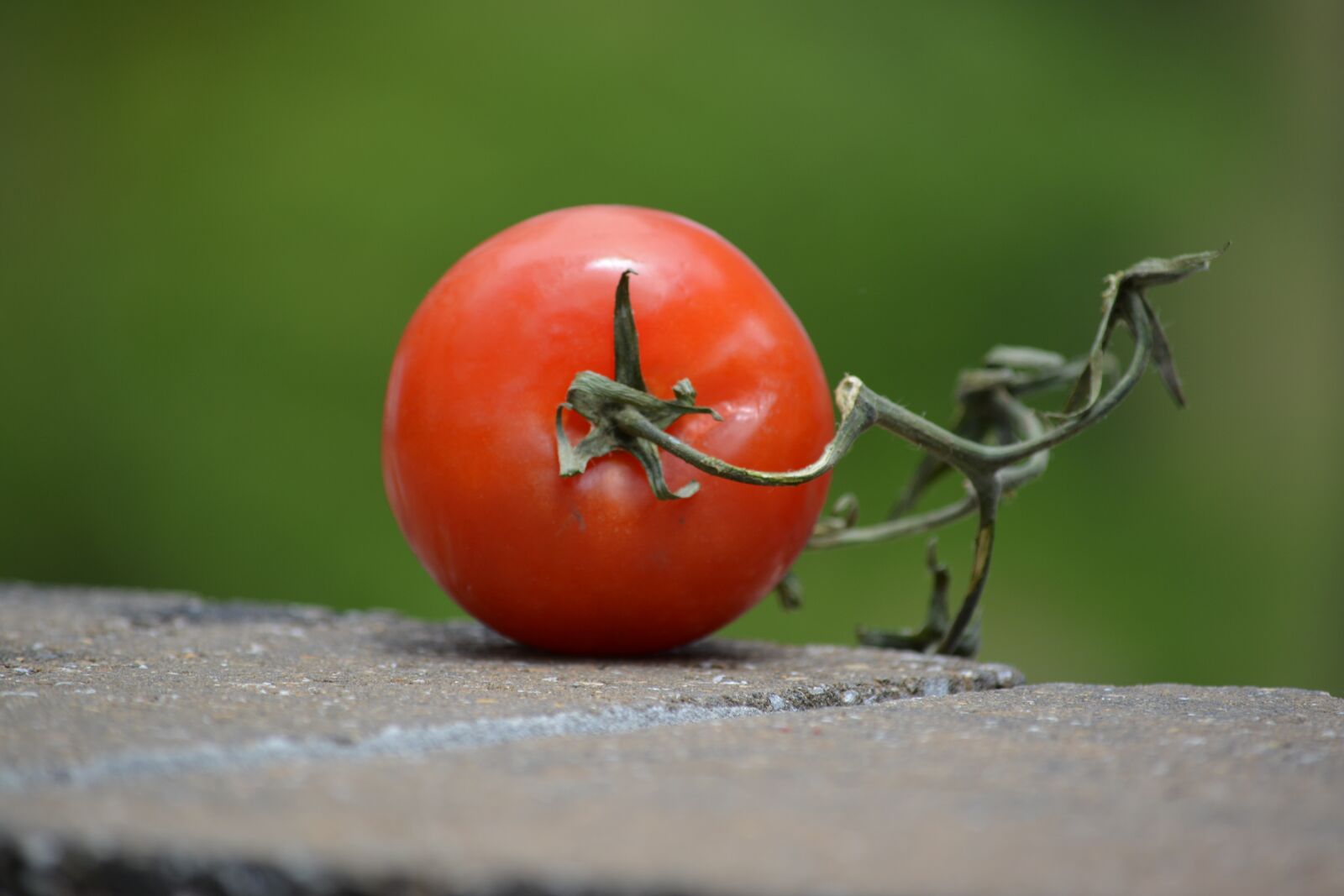 Nikon D5200 sample photo. Tomato, food, cookout photography