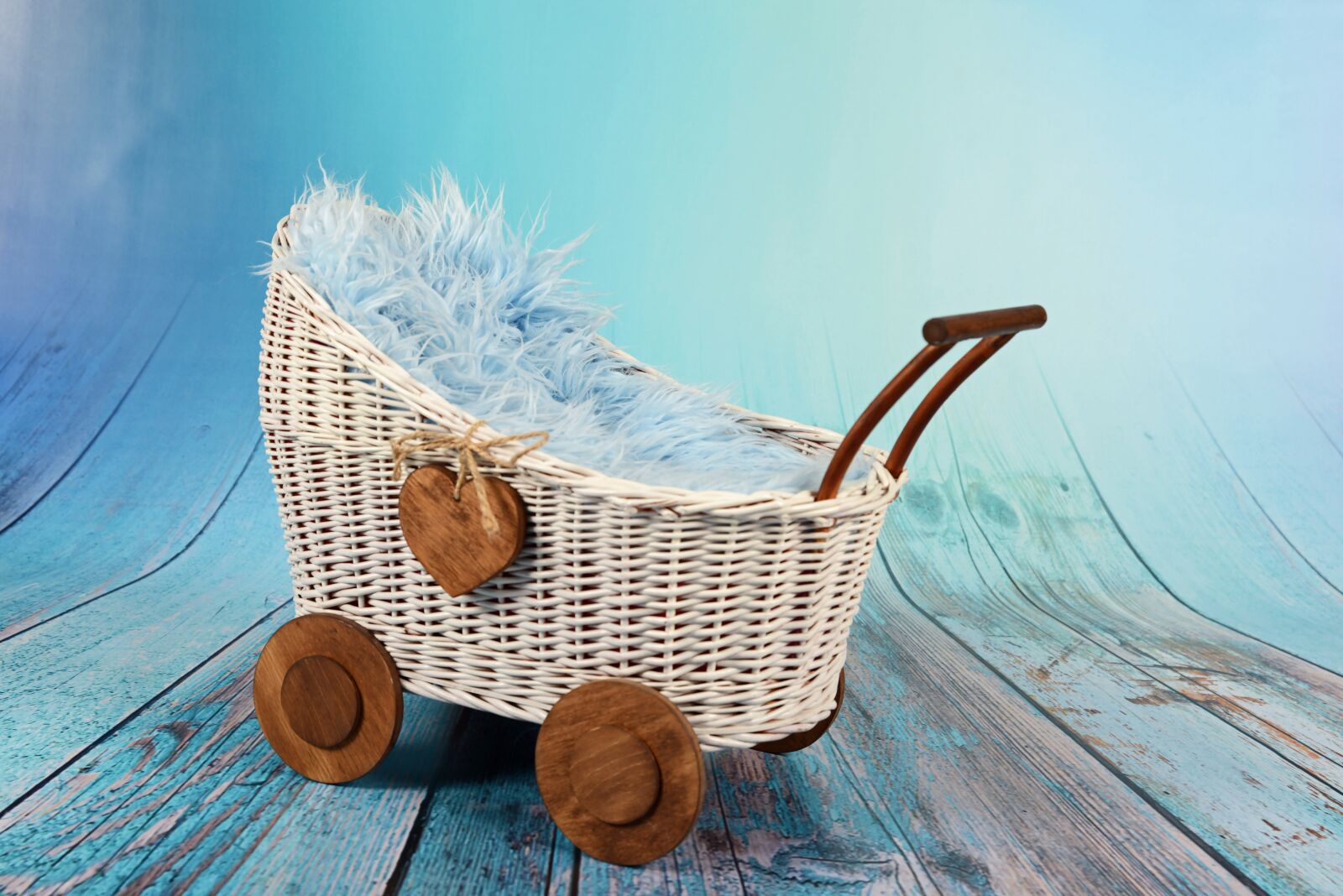Nikon D800 sample photo. Studio, stroller, wicker photography