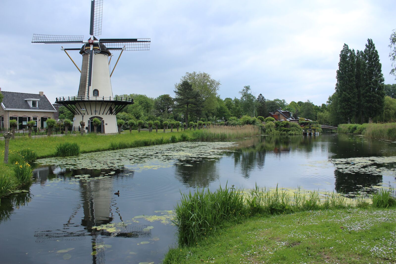Canon EOS 1200D (EOS Rebel T5 / EOS Kiss X70 / EOS Hi) sample photo. Zuiderpark, charlois, rotterdam photography