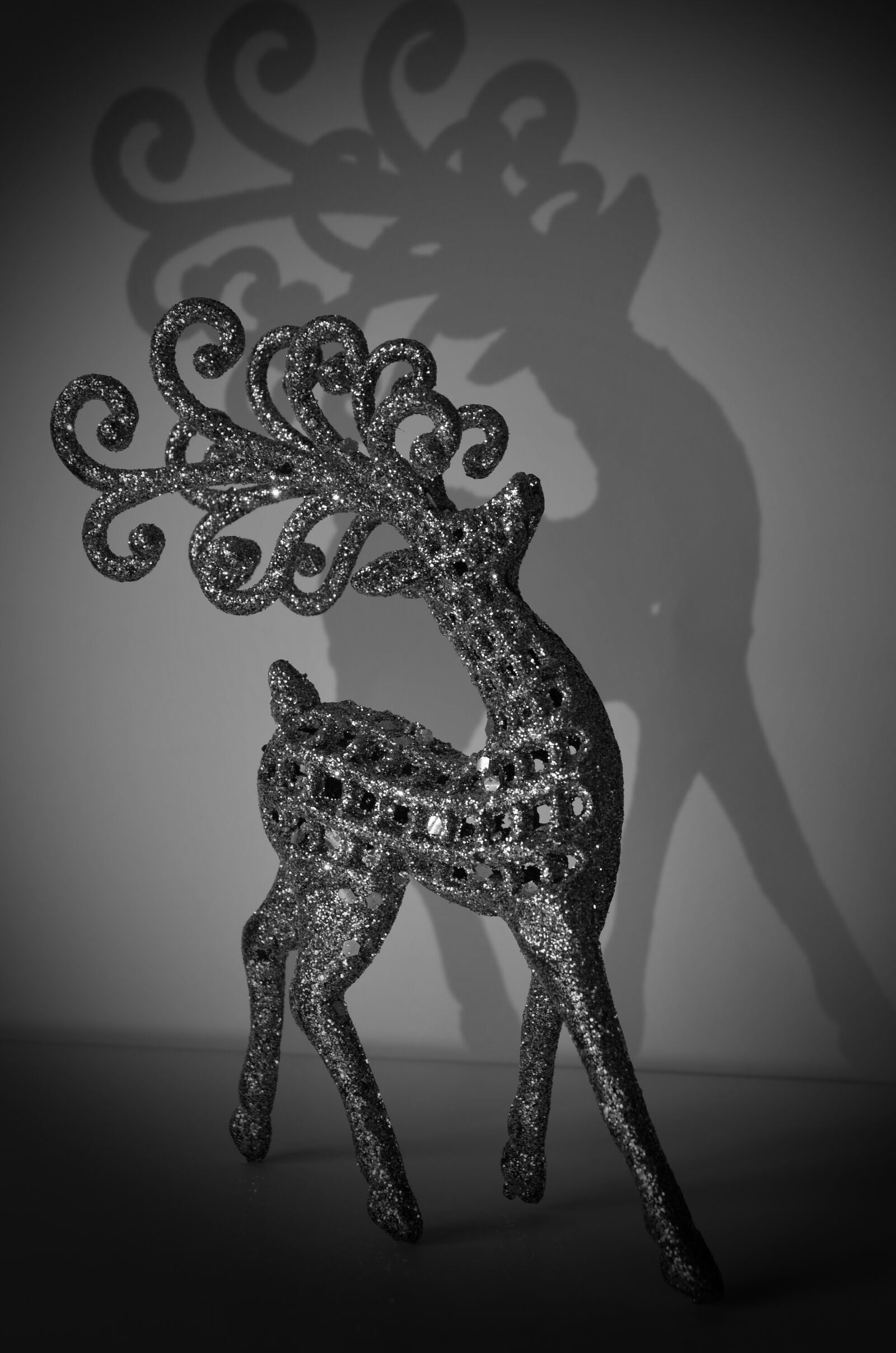 Nikon D5100 sample photo. Deer, shadow, antlers photography