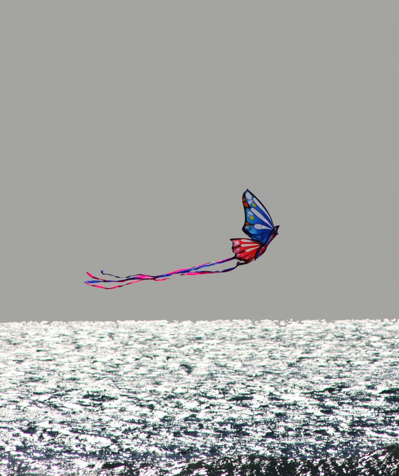 Canon EOS 1000D (EOS Digital Rebel XS / EOS Kiss F) sample photo. Sea, kite, nature photography
