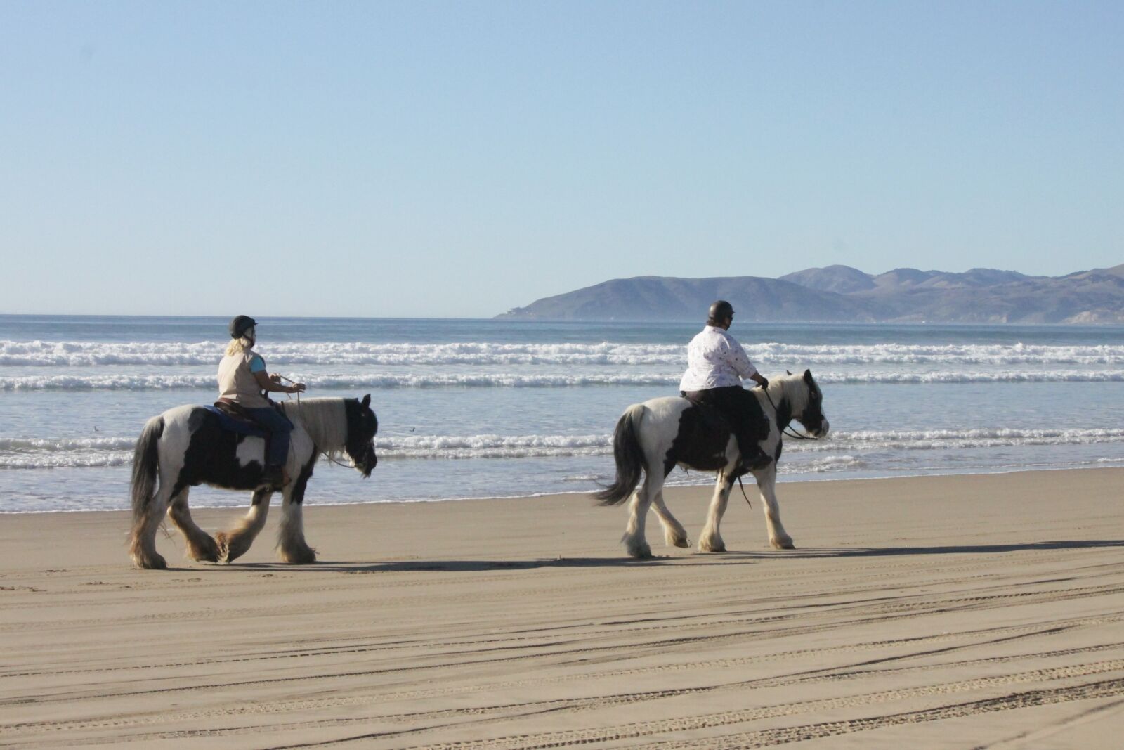 Canon EOS 500D (EOS Rebel T1i / EOS Kiss X3) sample photo. Beach, horses, ocean photography