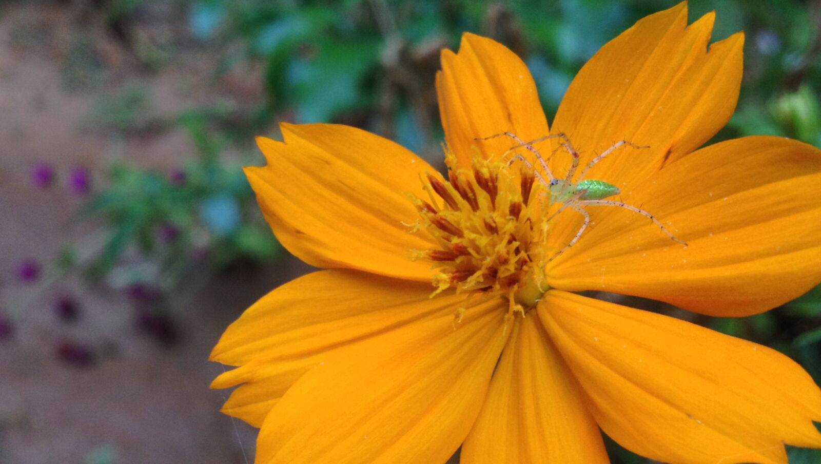 Apple iPhone 4S sample photo
