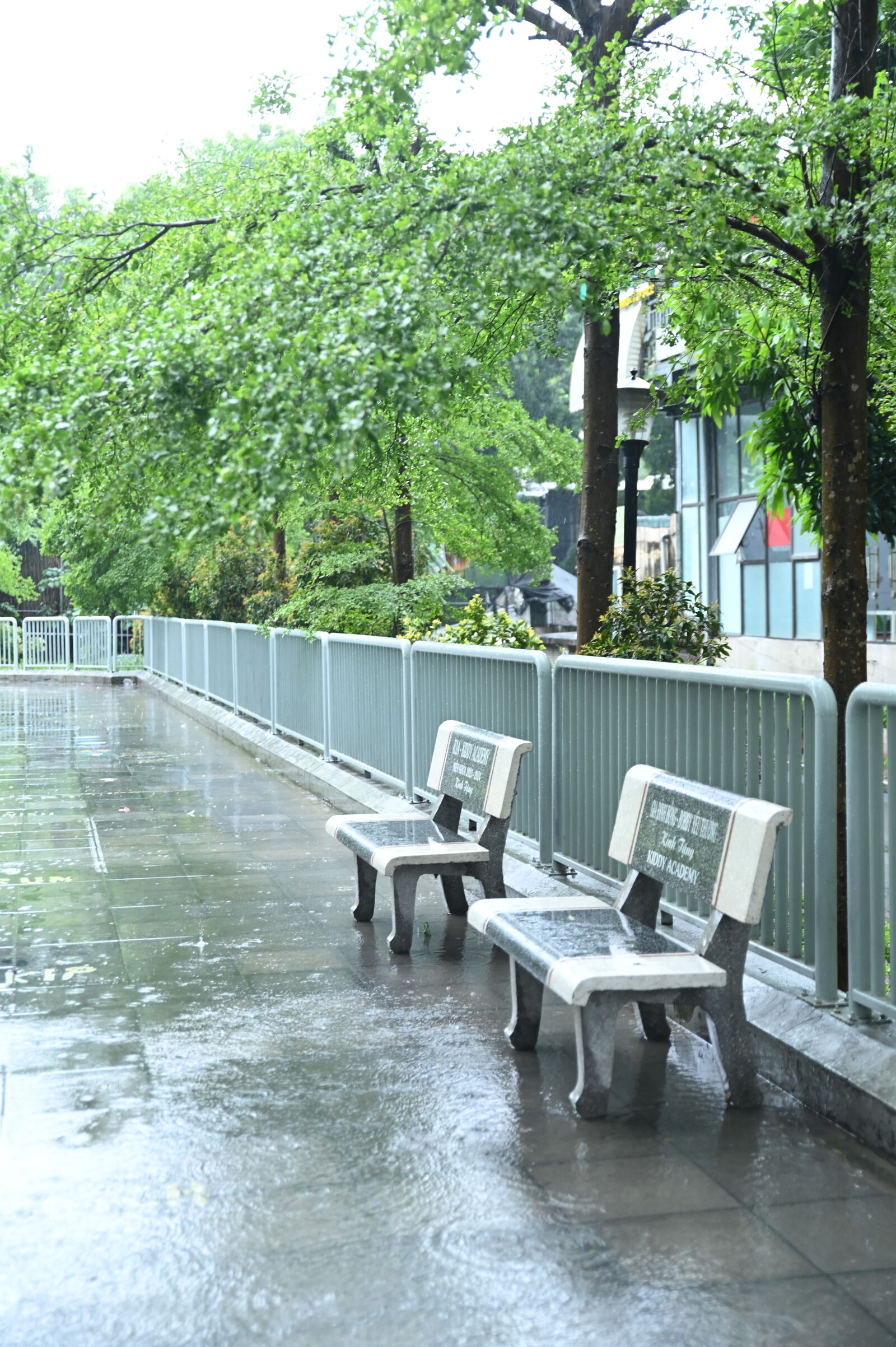 Nikon D780 sample photo