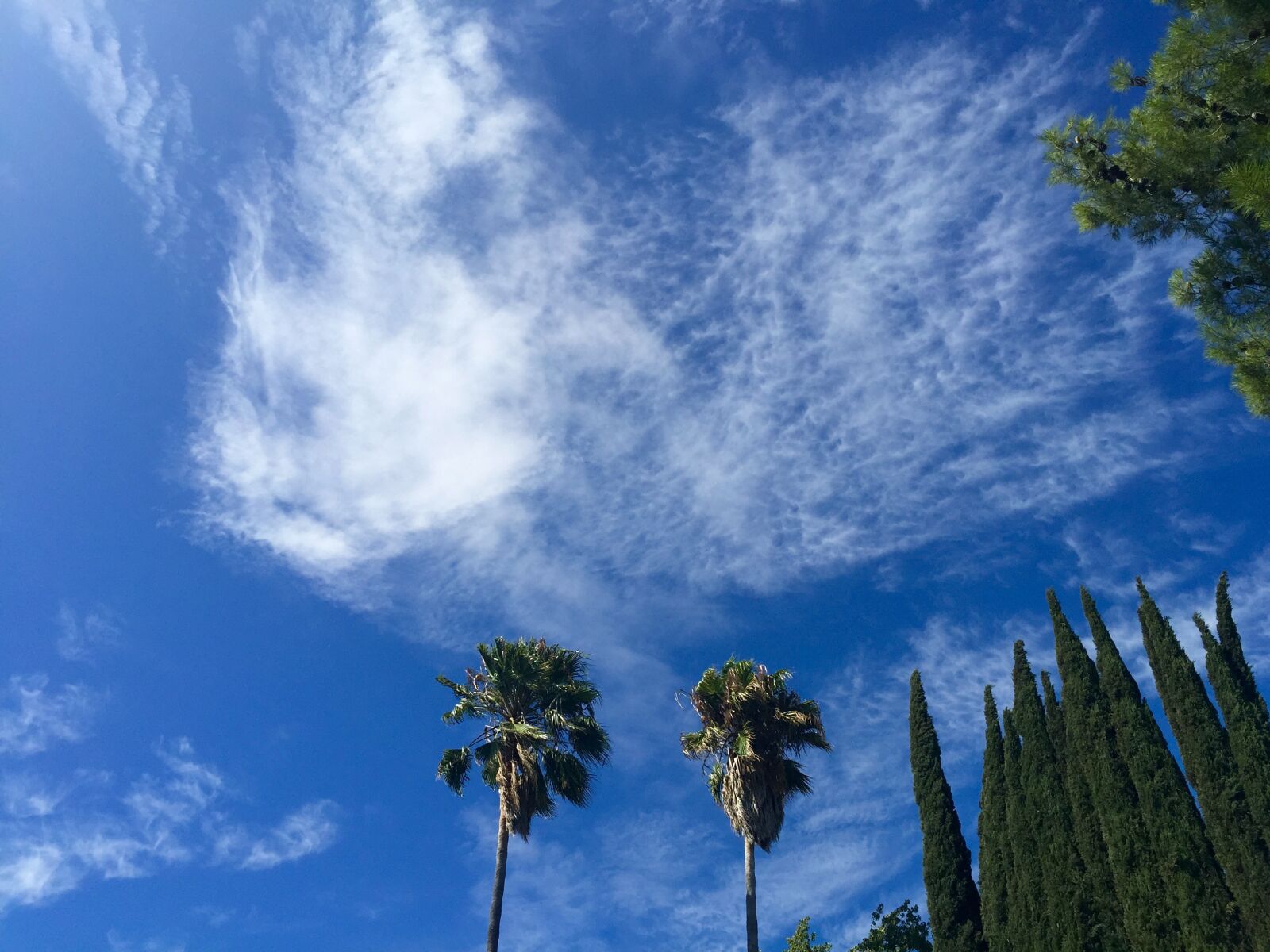 iPhone 6 Plus back camera 4.15mm f/2.2 sample photo. Clouds, sky, sky clouds photography