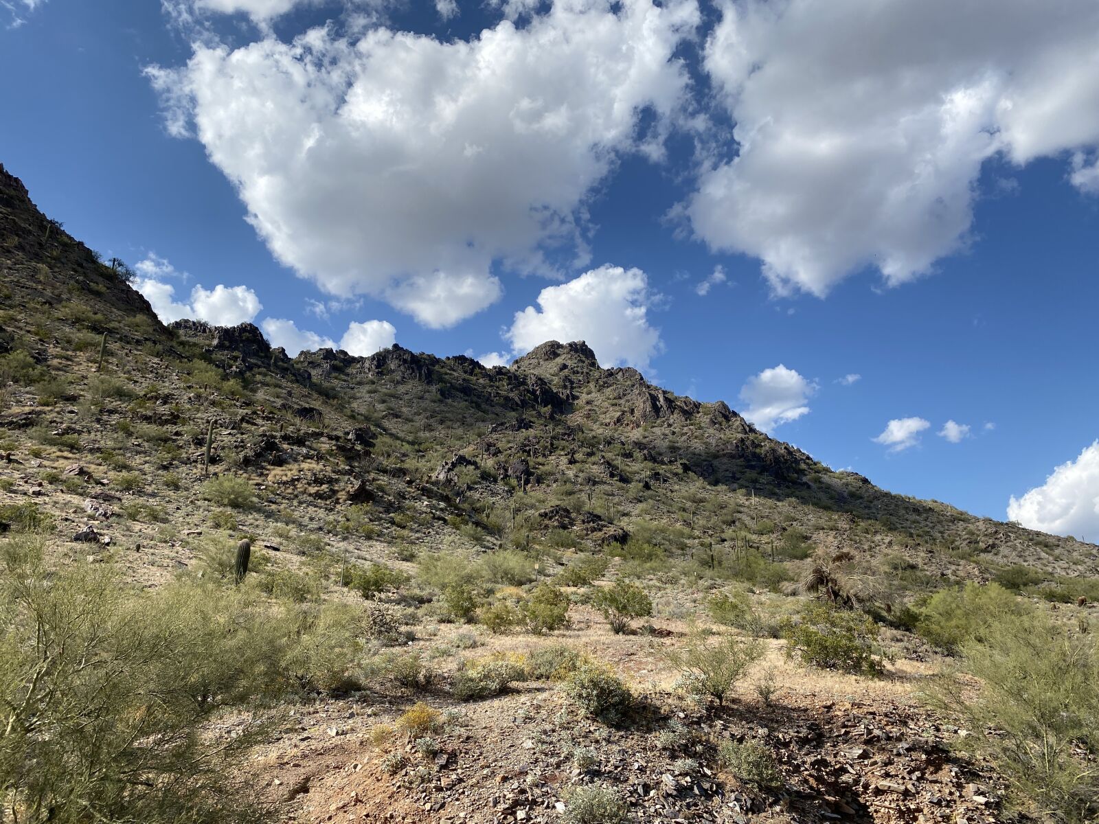 iPhone 11 Pro Max back triple camera 4.25mm f/1.8 sample photo. Desert, mountain, hills photography