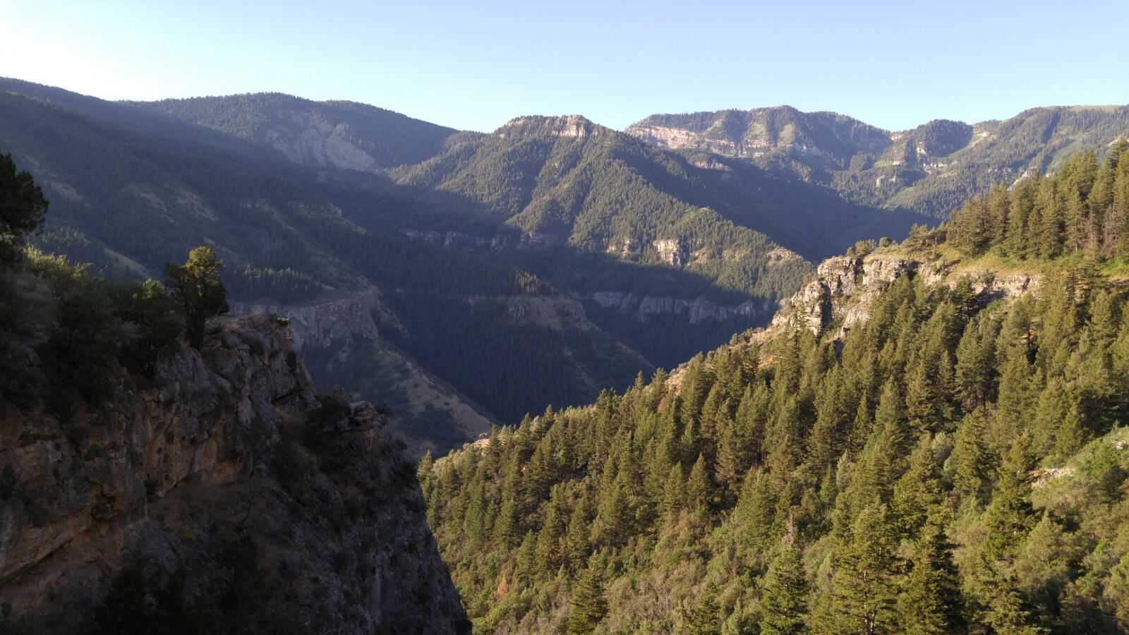 LG G4 sample photo. Mountains, trees, landscape photography