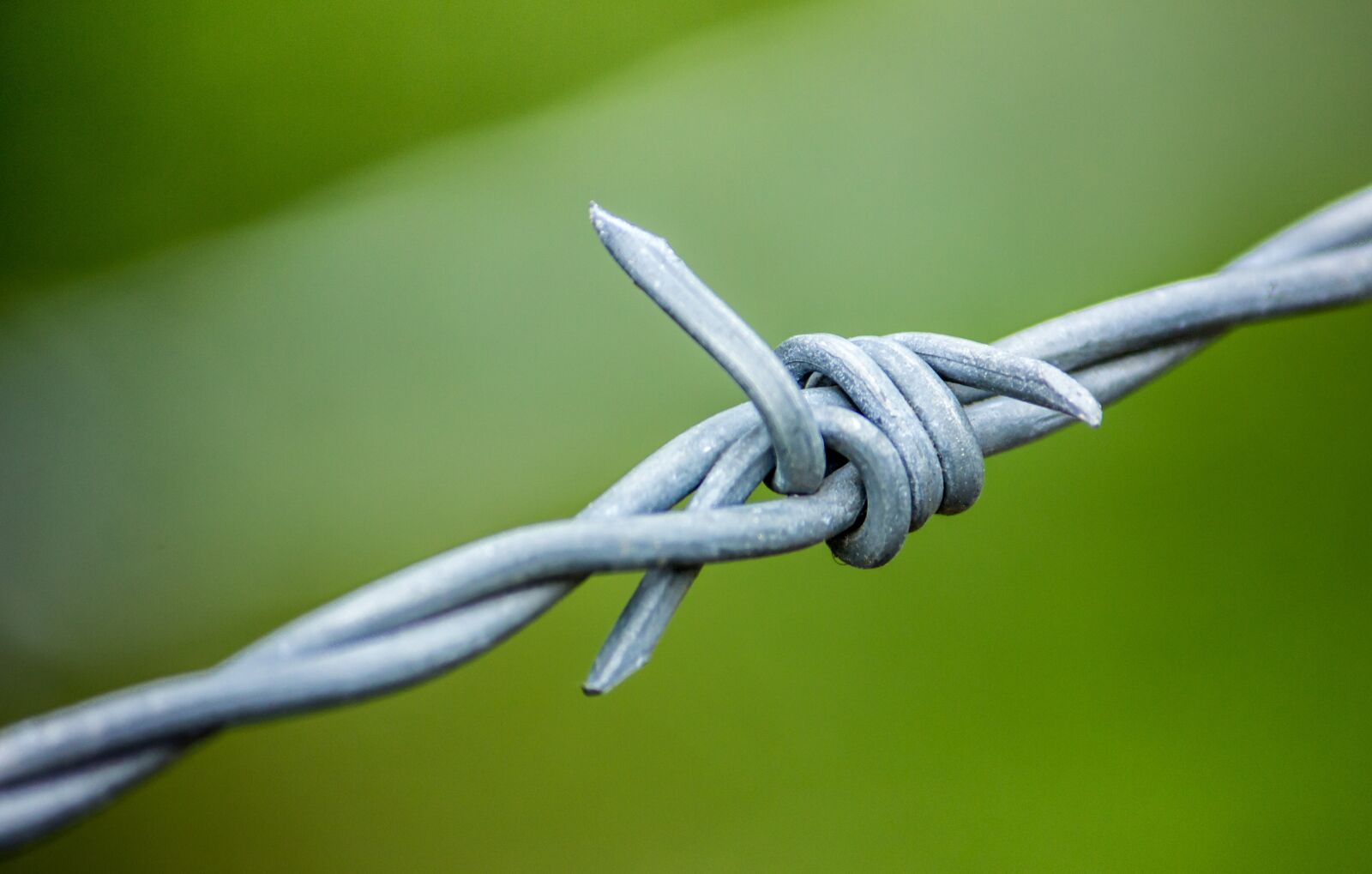 Canon EF-S 55-250mm F4-5.6 IS sample photo. Barbed wire, barb wire photography