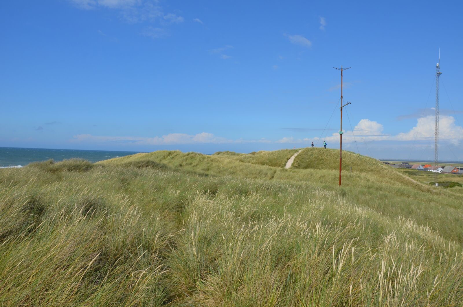 Nikon D5100 sample photo. Denmark, north sea, dunes photography