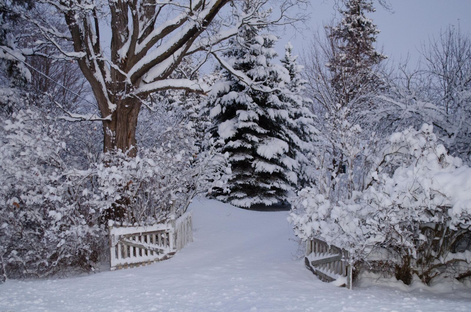 Nikon D5100 sample photo. Winter wonderland, snow, egbert photography