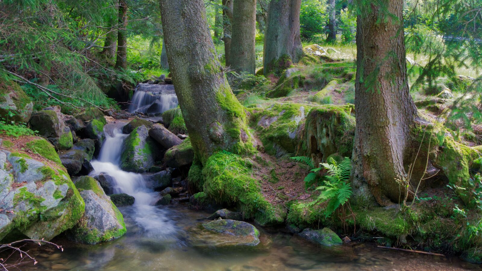 Nikon D5300 sample photo. Torrent, bach, watercourse photography