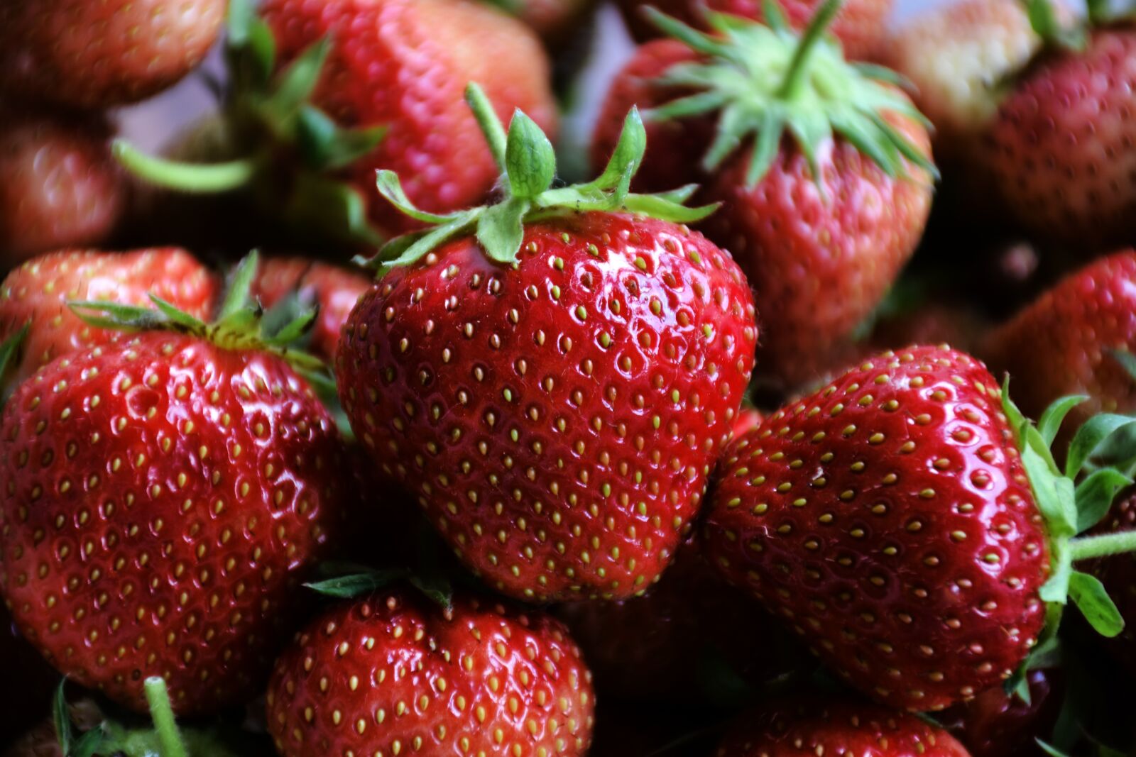 Nikon D7200 sample photo. Strawberries, fruit, red photography