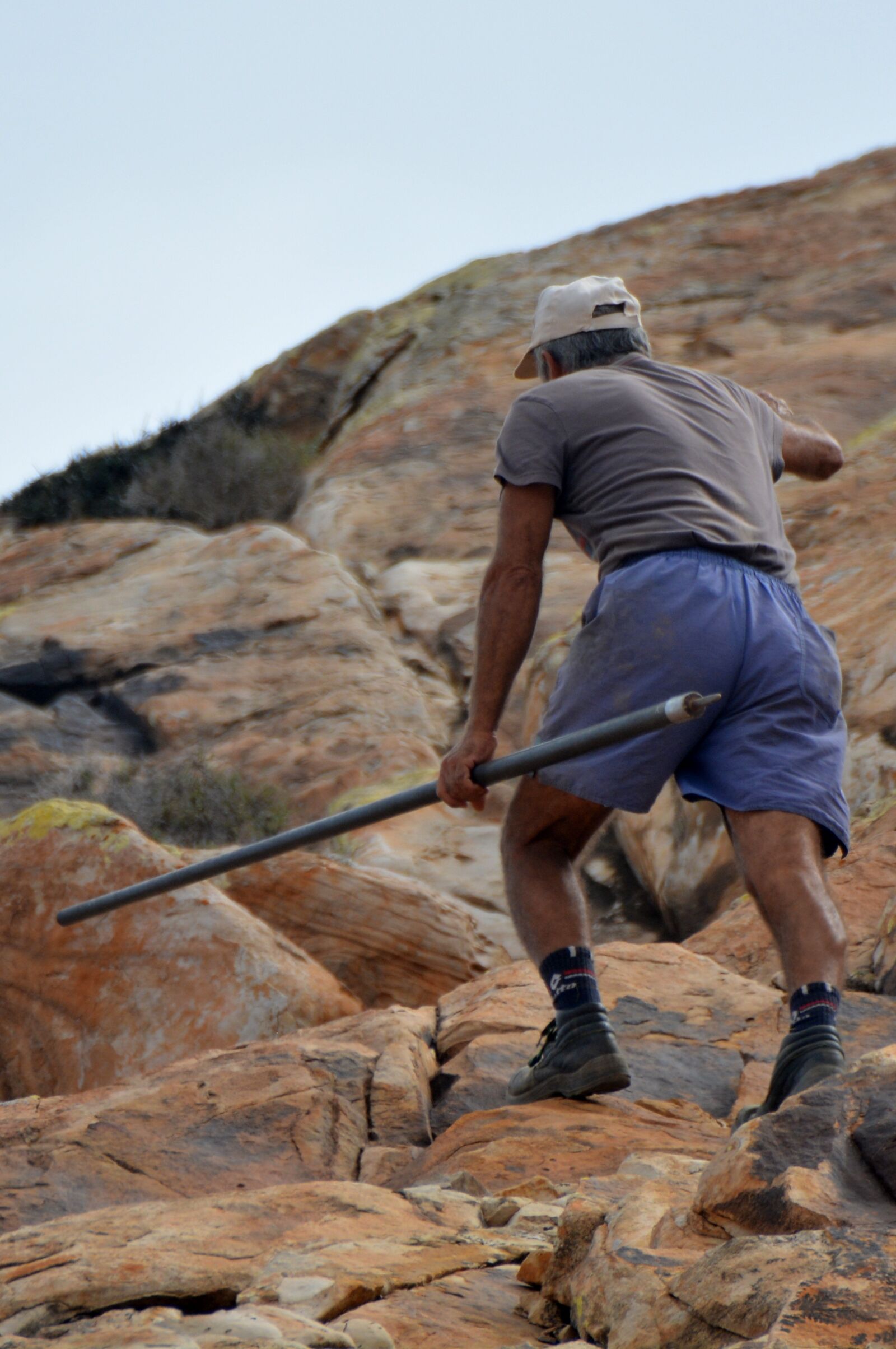 Nikon D5200 sample photo. Shepherd, man appeal, stick photography