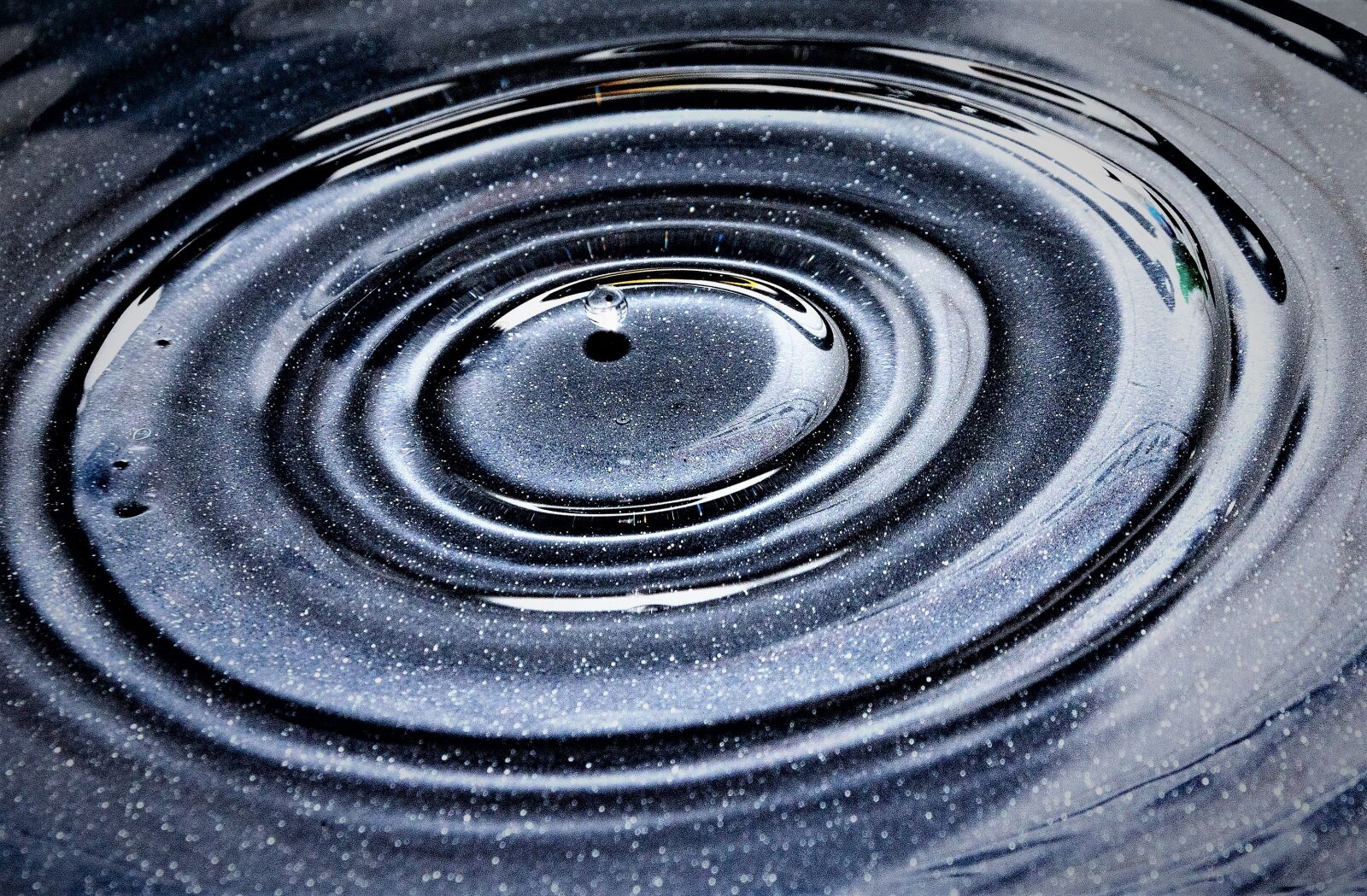Nikon D5600 sample photo. Water, drops, rain photography