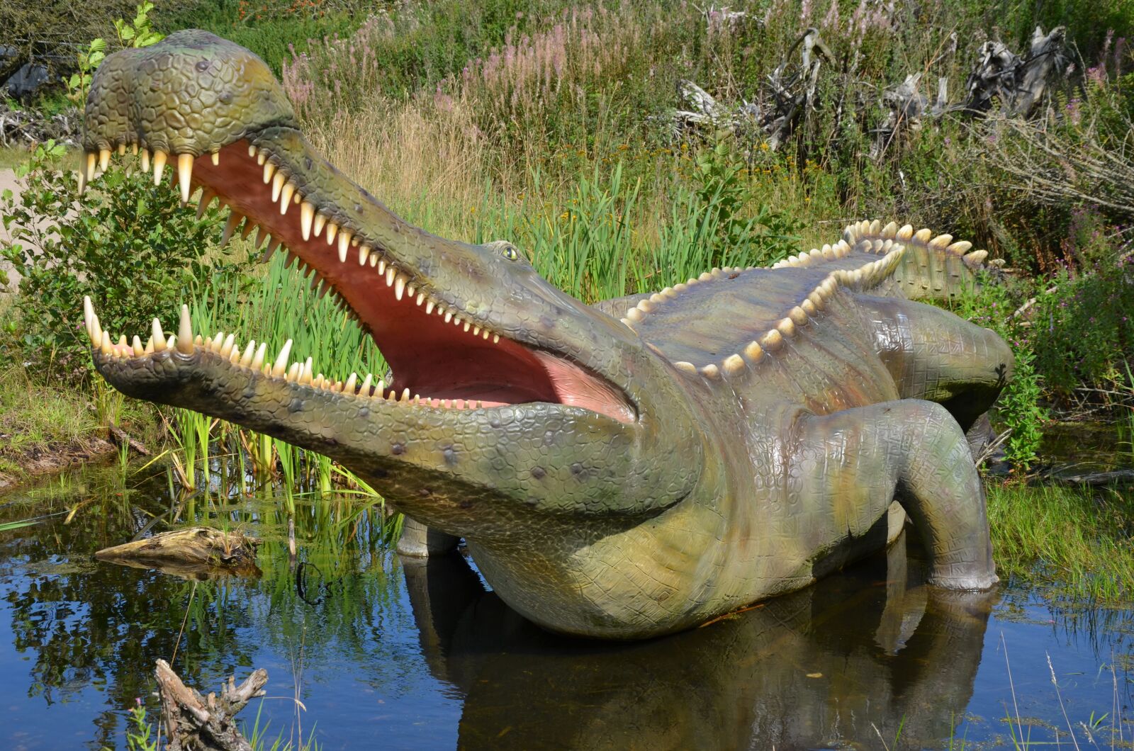 Nikon D5100 sample photo. Crocodile, dinosaur, prehistoric times photography