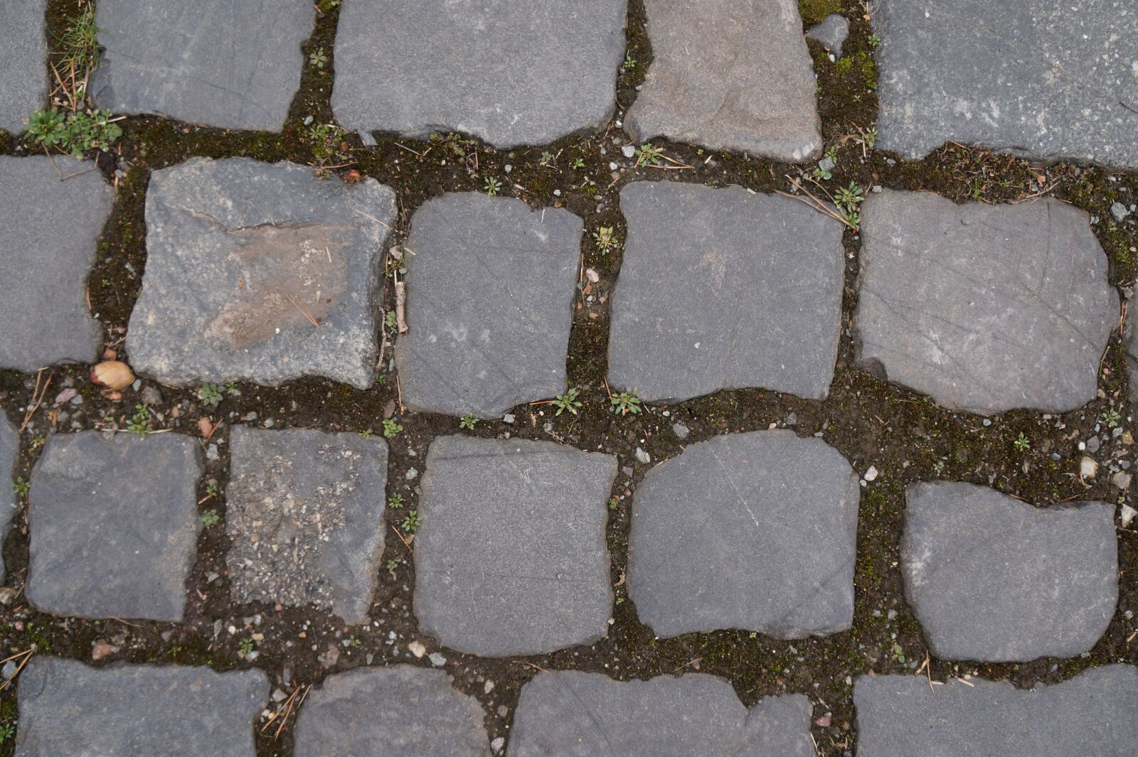 Sony Alpha a3000 + Sony E 18-55mm F3.5-5.6 OSS sample photo. Stones, textures, background photography