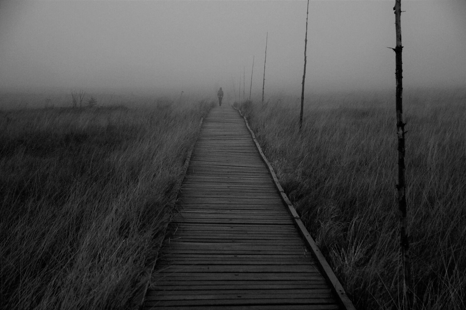 Sony SLT-A58 sample photo. God's gift, bo darsk photography