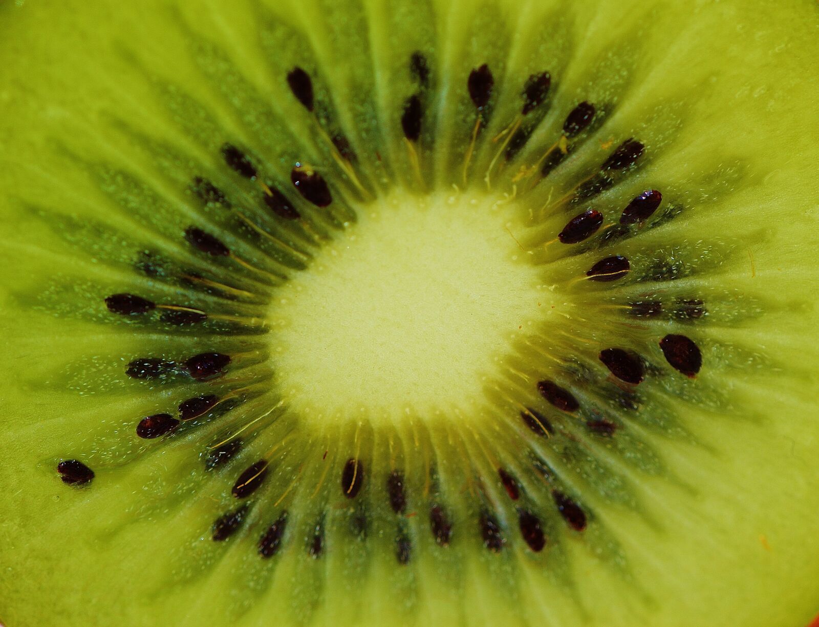 Nikon D3200 sample photo. Kiwi, fruit, healthy photography