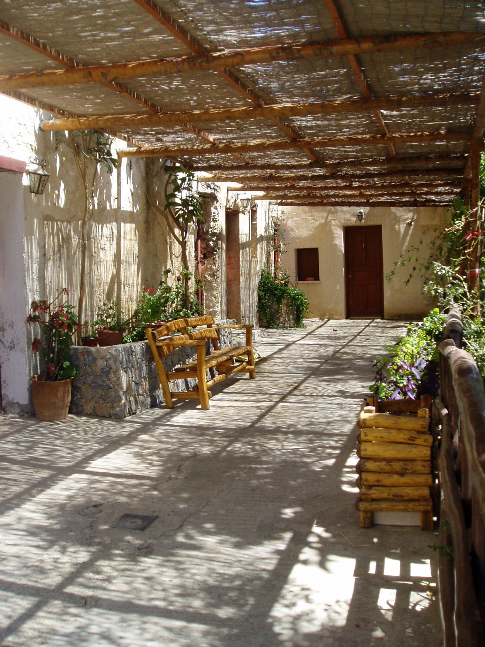 Olympus u10D,S300D,u300D sample photo. Flowers, grece, home, house photography