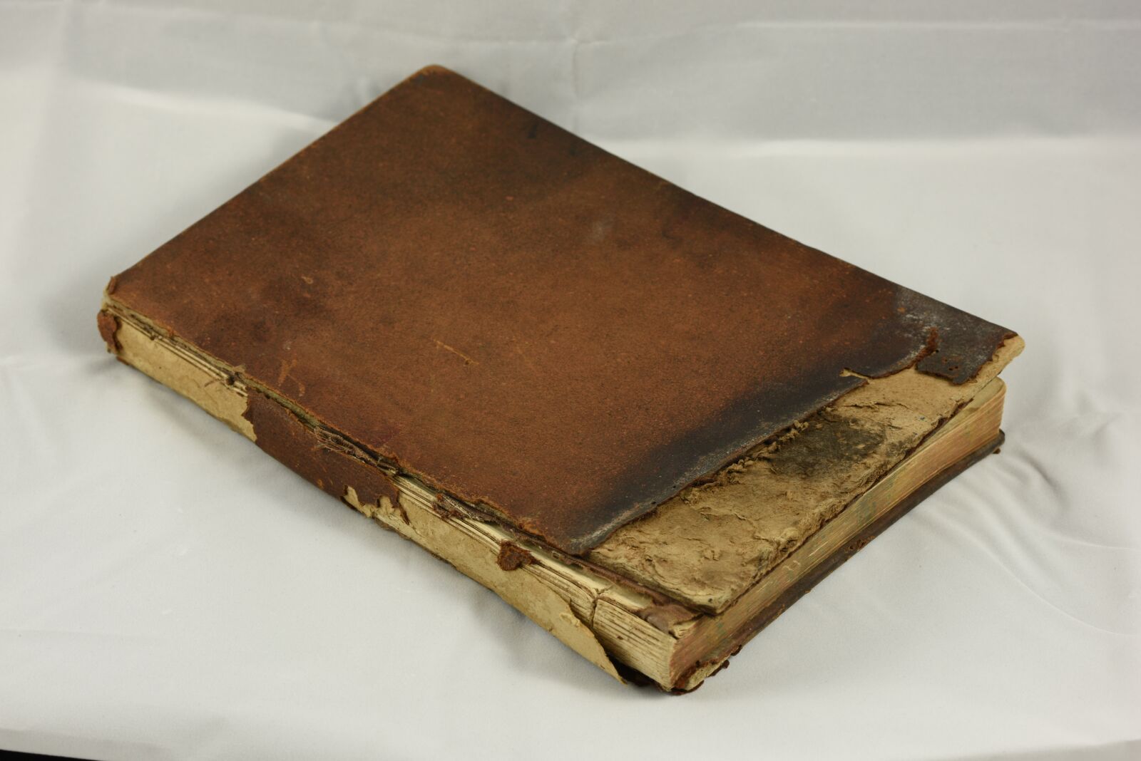 Nikon D810 sample photo. Ruined book, destroyed, burned photography