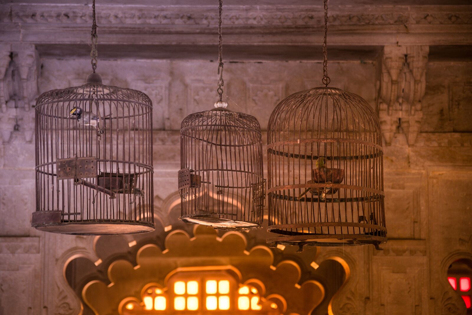 Nikon D5300 sample photo. Palace, udaipur, rajasthan photography