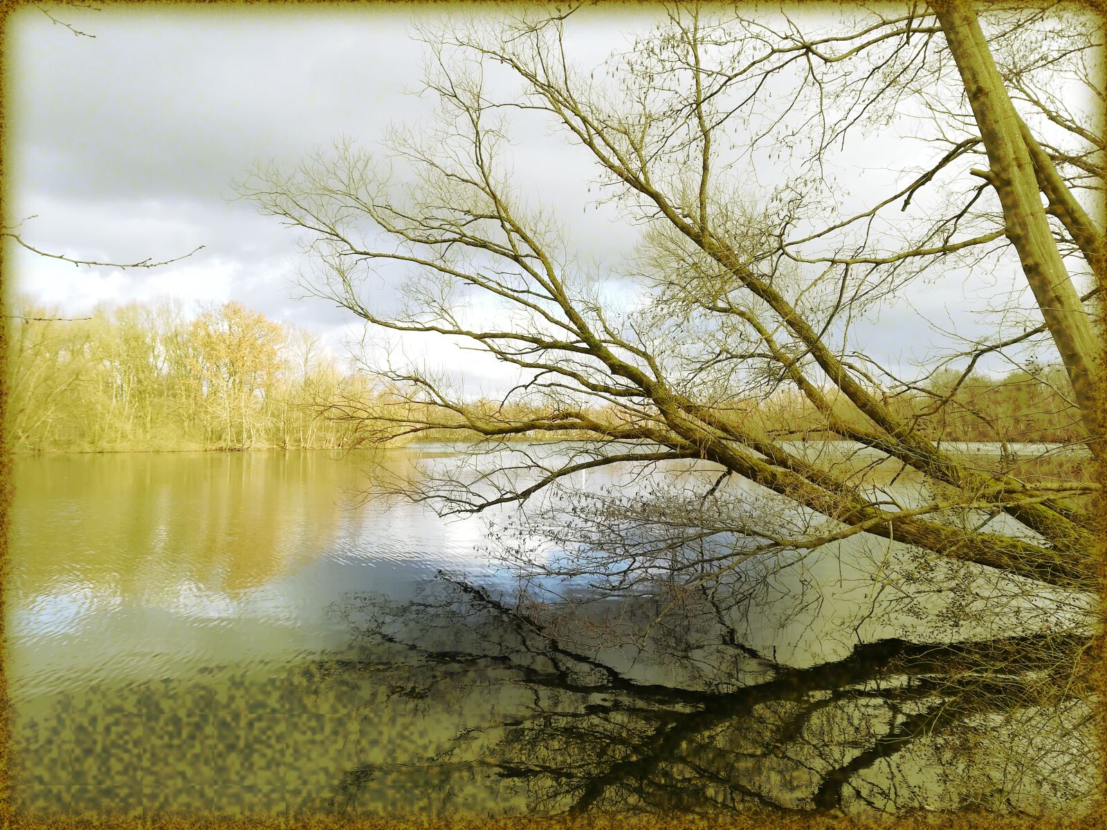 HUAWEI P20 sample photo. Nature, lake, tree photography