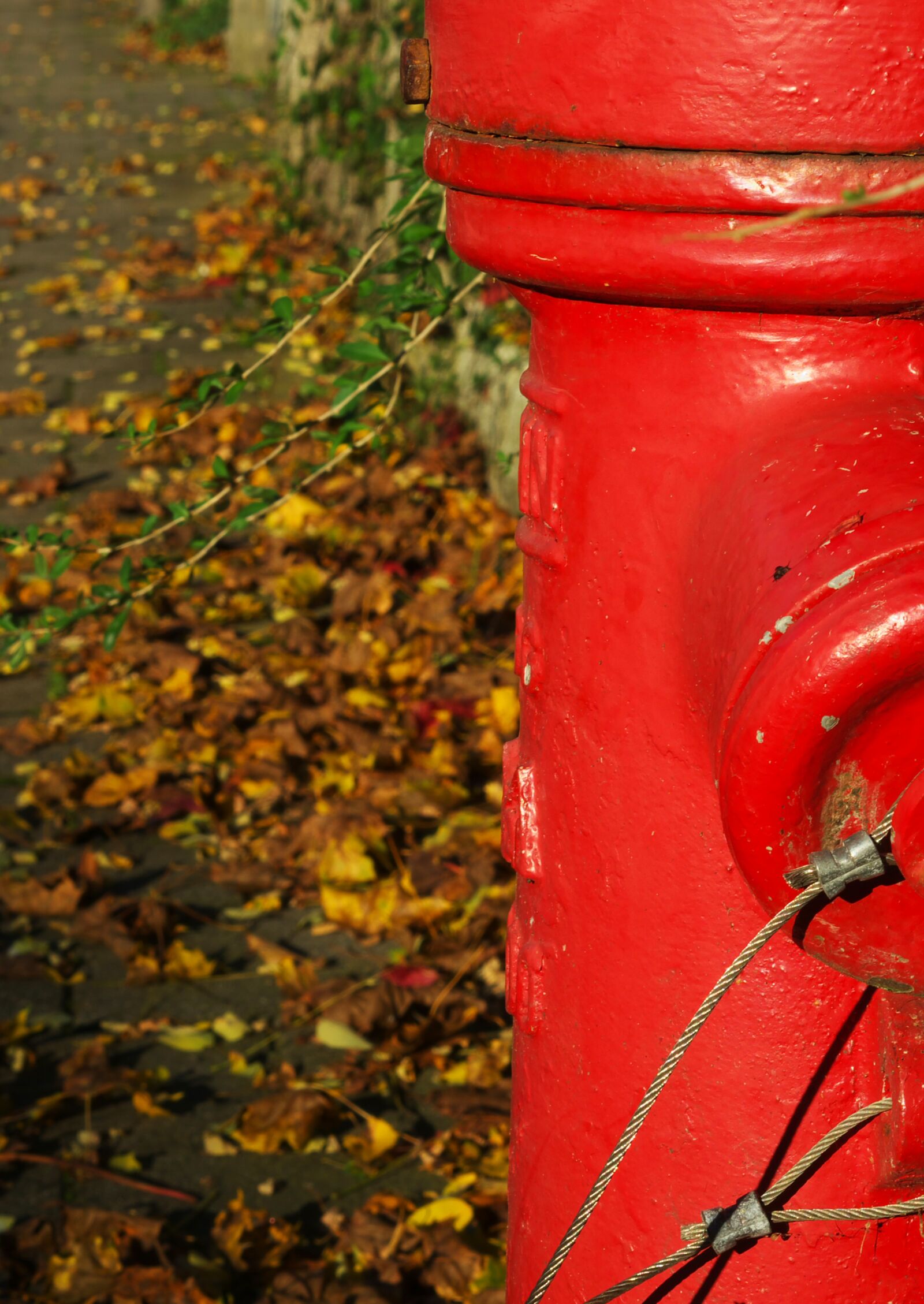 Pentax K-30 sample photo. Hydrant, red, pavement photography