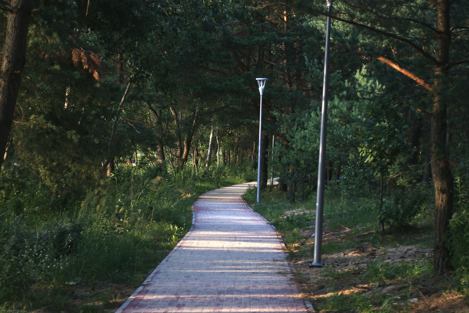 Sony Alpha DSLR-A200 sample photo. Walkway, landscape, city photography