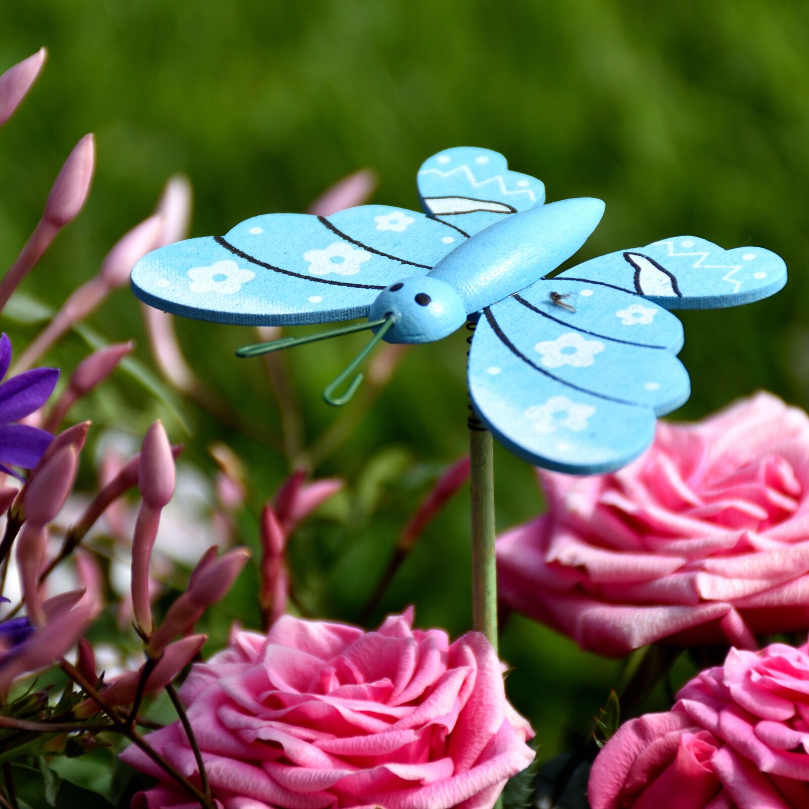 Nikon D5500 sample photo. Butterfly, figure, flowers photography