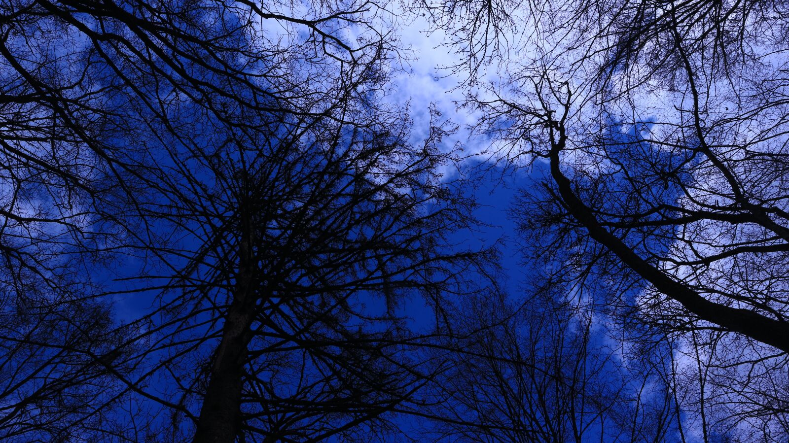 Canon EF-M 15-45mm F3.5-6.3 IS STM sample photo. Forest, sky, threatening photography