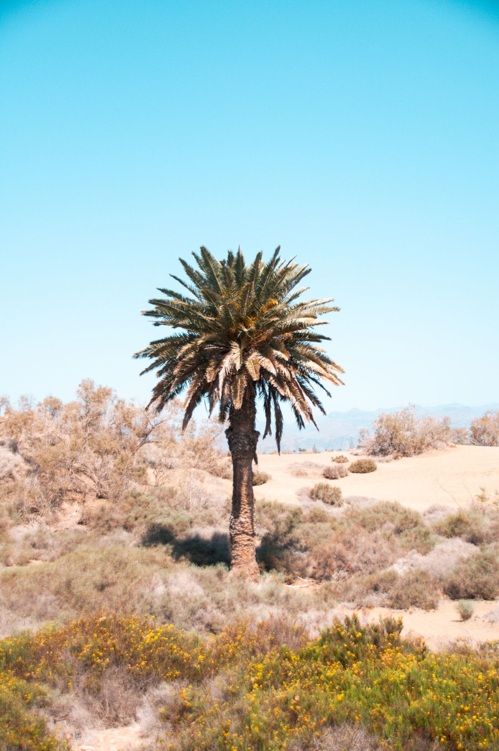 Nikon D90 sample photo. Blue, canary islands, dunes photography