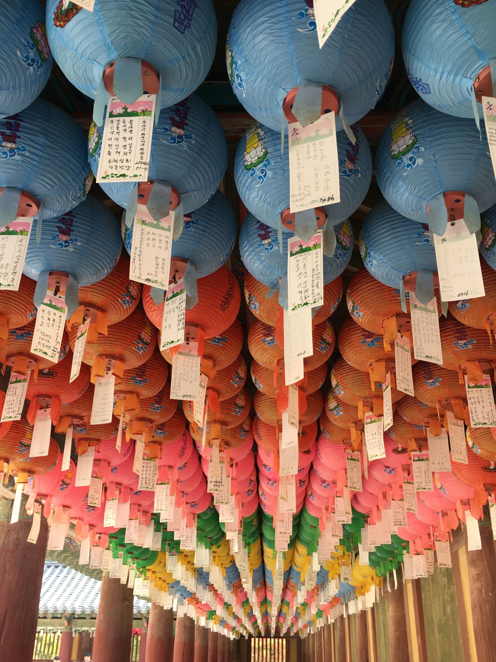 Apple iPhone 6s sample photo. Section, paper, etc photography