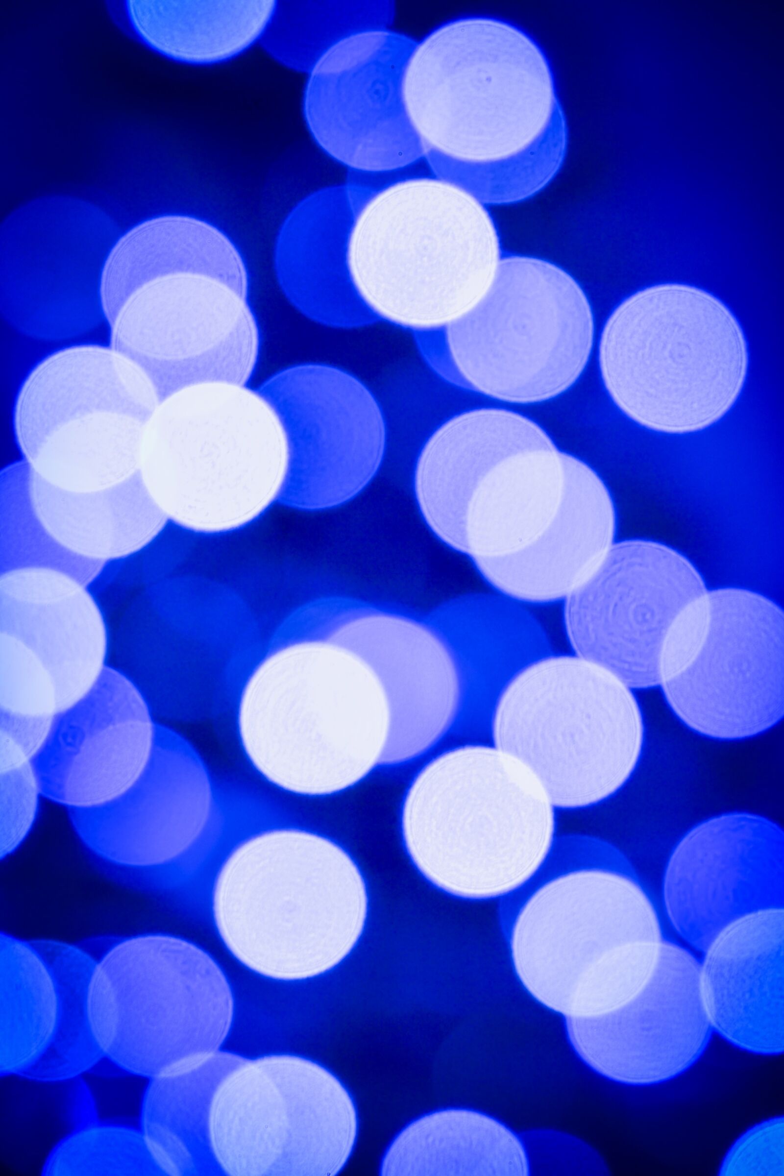 Nikon D3100 sample photo. Bokeh, blue, light photography