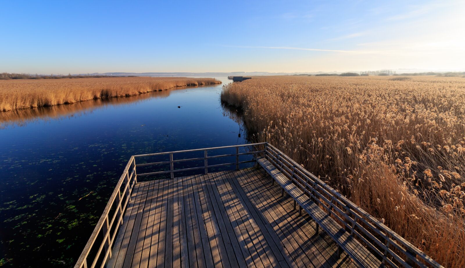 Canon EOS 7D Mark II + Canon EF-S 10-18mm F4.5–5.6 IS STM sample photo. Nature, morning sun, reed photography