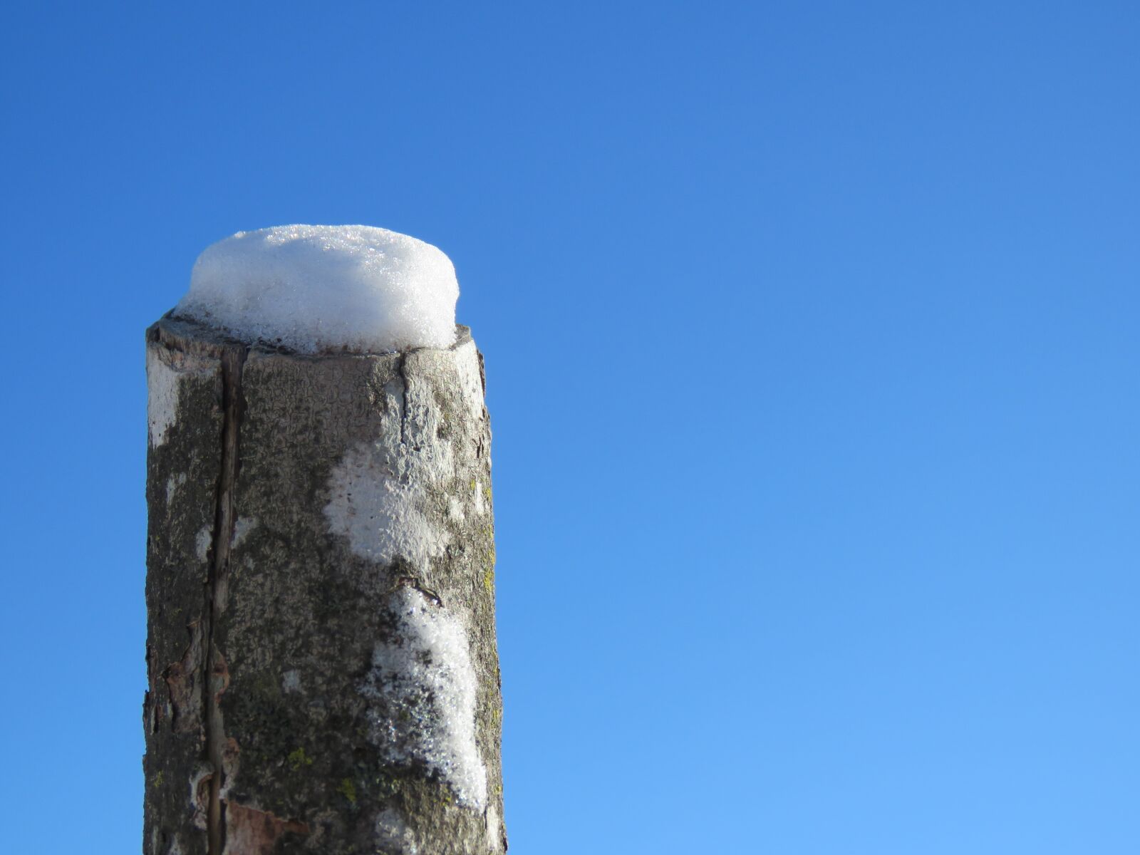 Canon PowerShot SX60 HS sample photo. Winter, snow, post photography