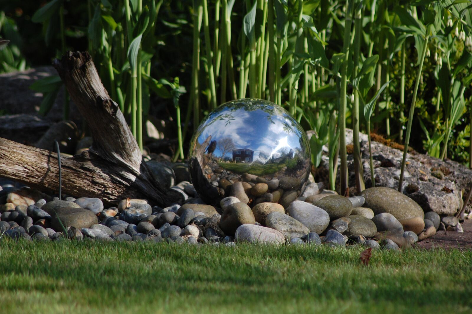 Nikon D40 sample photo. Grass, nature, outdoors photography