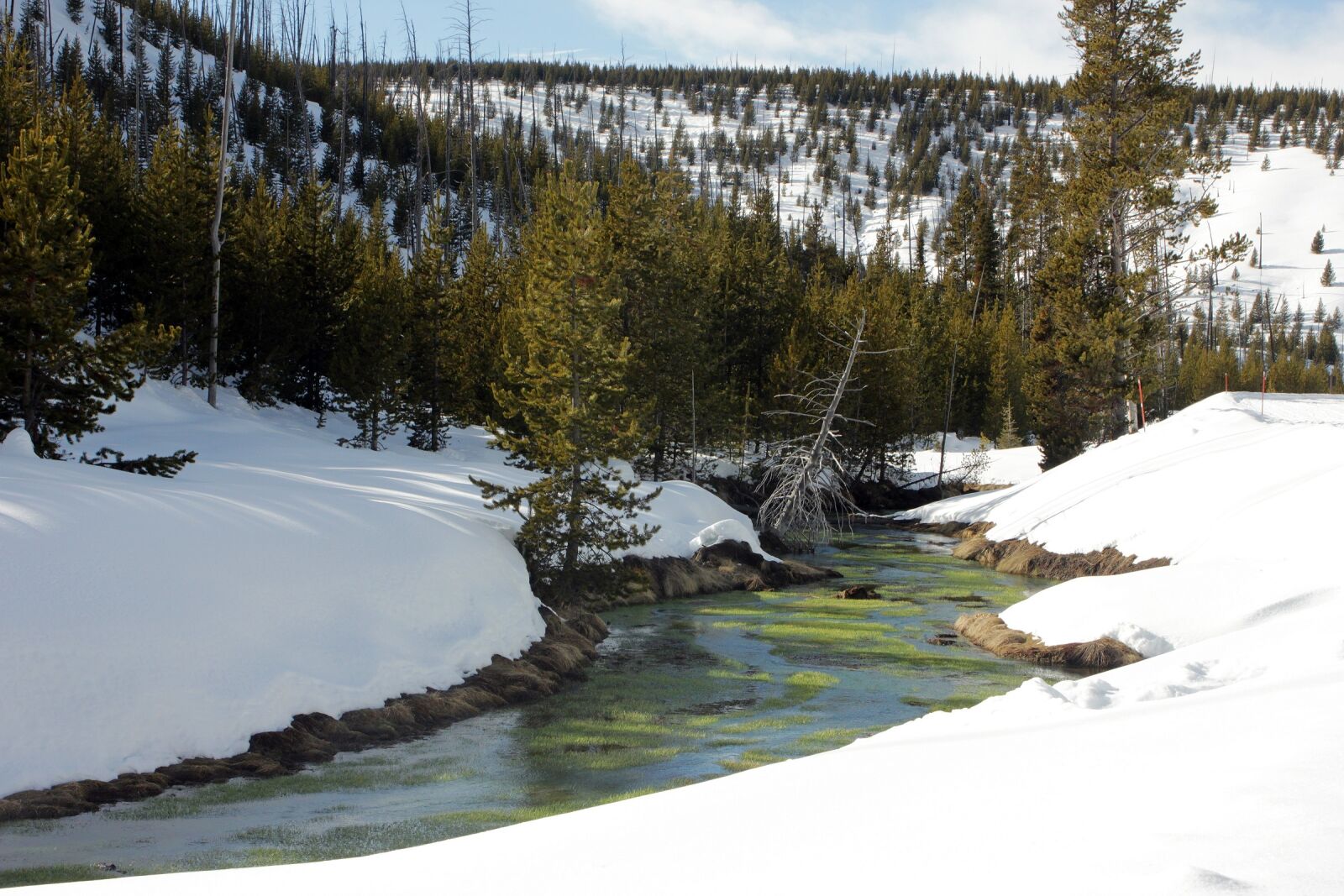 Canon EOS 550D (EOS Rebel T2i / EOS Kiss X4) sample photo. Creek, water, winter photography